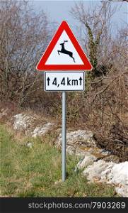 traffic warning sign - wild animal cross road