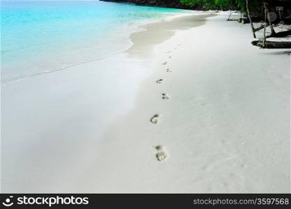 trail barefoot feet in the sand on a beautiful beach