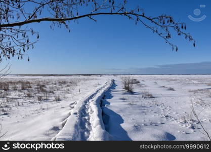 Trail in a wintry marshland in the nature reserve by Beijershamn on the island Oland in Sweden