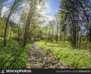 trail in Spring Park