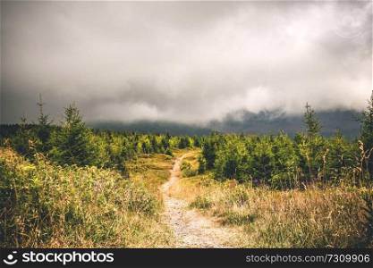 Trail on a hill with pine trees under a large misty cloud in the summer
