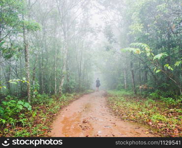 Trail through forest in fog with green leaves. Male hiking through the forest.
