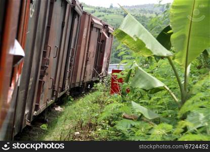 Train and banana palm tree on the railroad in Myanmar