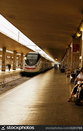 Train at a railroad station platform, Rome, Italy