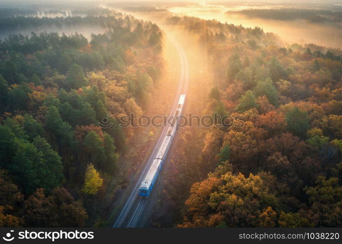 Train in beautiful forest in fog at sunrise in autumn. Aerial view of moving commuter train in fall. Colorful landscape with railroad, foggy trees with orange leaves, mist. Top view. Railway station