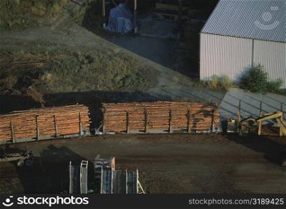 Train load of logs from a sawmill, Idaho