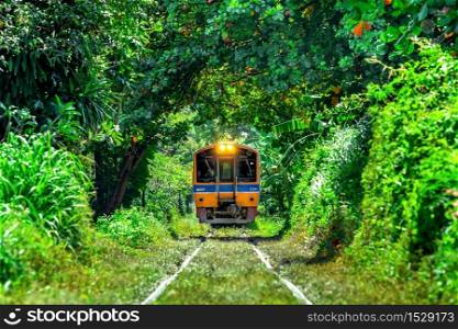 Train through a tunnel of trees in Bangkok, Thailand.