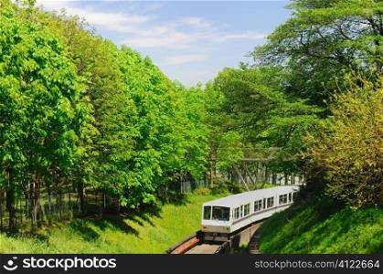 Train travelling through greenery