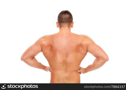 Trained bodybuilder back over white isolated background