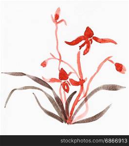 training drawing in suibokuga style with watercolor paints - sketch of orchid flower on white paper