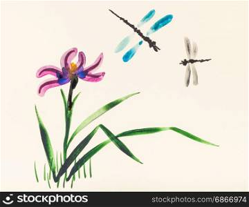 training drawing in suibokuga style with watercolor paints - Two dragonflies over iris flower on meadow in summer on ivory colored paper