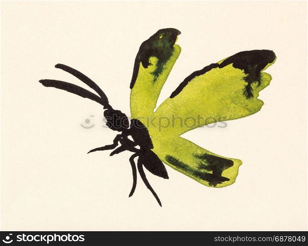 training drawing in suibokuga sumi-e style with watercolor paints - butterfly with yellow wings hand painted on cream colored paper