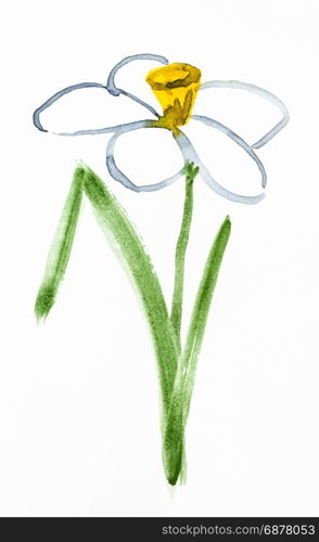 training drawing in suibokuga sumi-e style with watercolor paints - narcissus (jonquil) flower hand painted on white paper