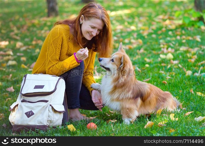 training - girl and dog corgi walking in the park