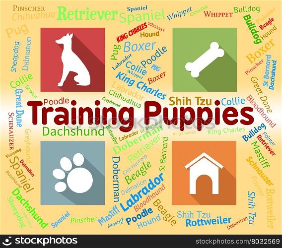 Training Puppies Indicating Dogs Pups And Skills
