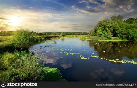 Tranquil evening on a river in summer