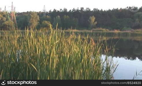 tranquil lake in the evening