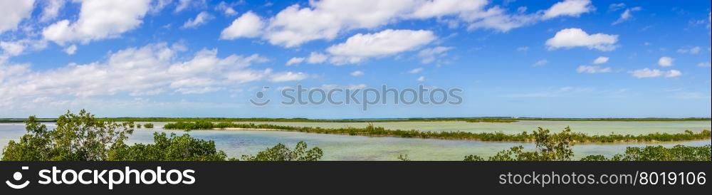 tranquil nature in florida keys