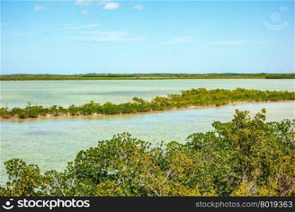 tranquil nature in florida keys