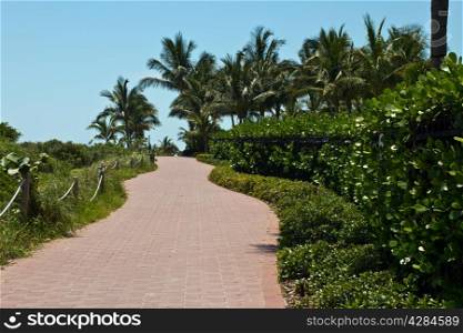 Tranquil path in a tropical setting