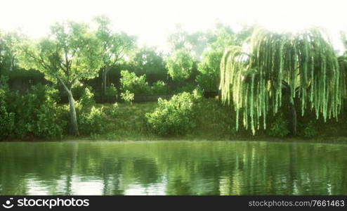 Tranquil Pond Framed by Lush Green Woodland Park in Sunshine