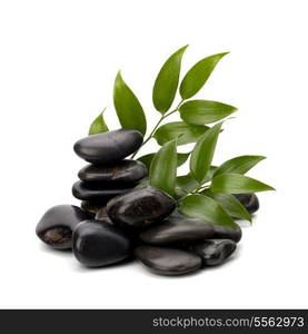 Tranquil scene. Green leaf and stones isolated on white background.