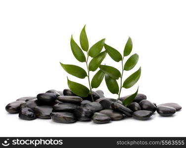 Tranquil scene. Green leaf and stones isolated on white background.