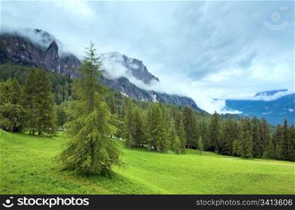 Tranquil summer Italian dolomites mountain view