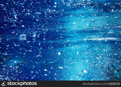 Tranquil underwater scene with copy space