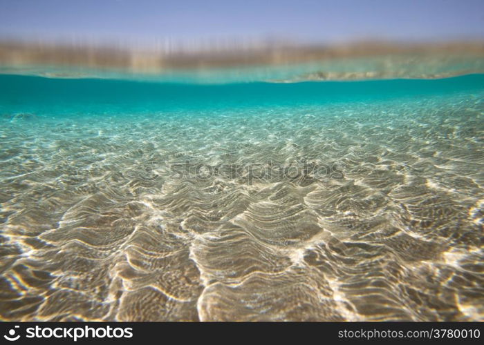 Tranquil underwater scene with copy space