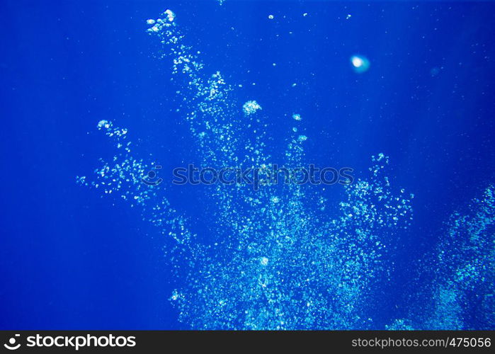 Tranquil underwater scene with copy space