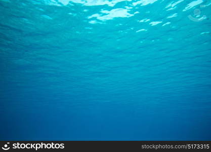 Tranquil underwater scene with copy space