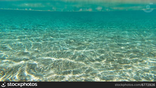 Tranquil underwater scene with copy space