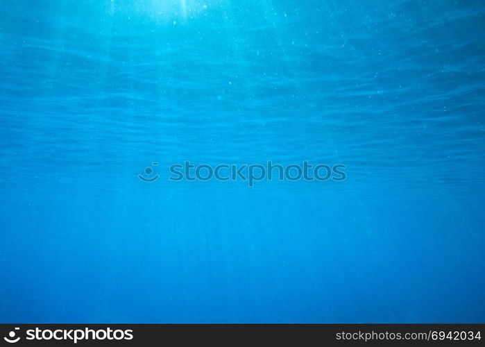 Tranquil underwater scene with copy space