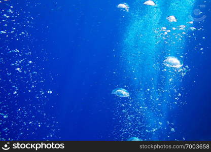 Tranquil underwater scene with copy space