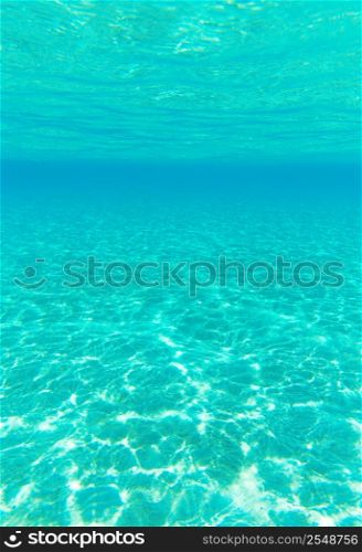 Tranquil underwater scene with copy space&#xA;&#xA;