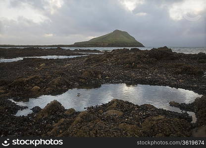 Tranquil view of a seashore