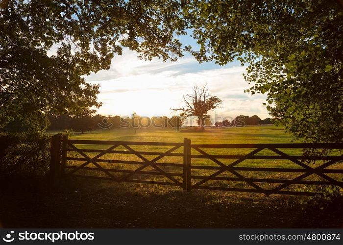 Tranquil view of country farm gate and trees in English or British countryside field at sunset or sunrise