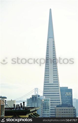Transamerica Pyramid San Francisco designed by William Pereira