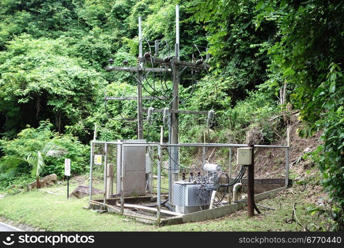 transformer vault at the forest