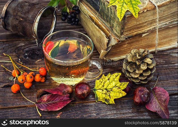 Transparent cup with herbal tea on the table strewn with autumn leaves,chestnuts and pine cones