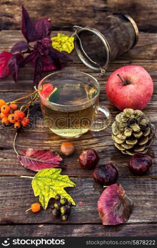 Transparent cup with herbal tea on the table strewn with autumn leaves,chestnuts and pine cones