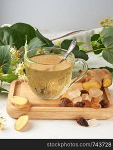 transparent cup with tea from ginger and linden on a white wooden board, next to pieces of sugar and twigs with green leaves