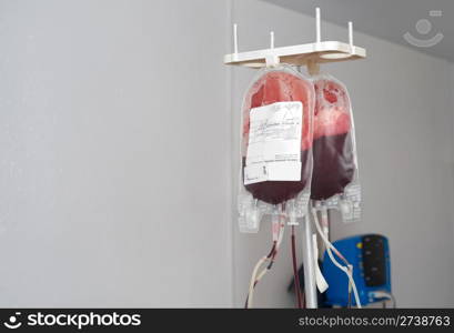 transparent packages hanging on rack are being filled with donor blood, copy space