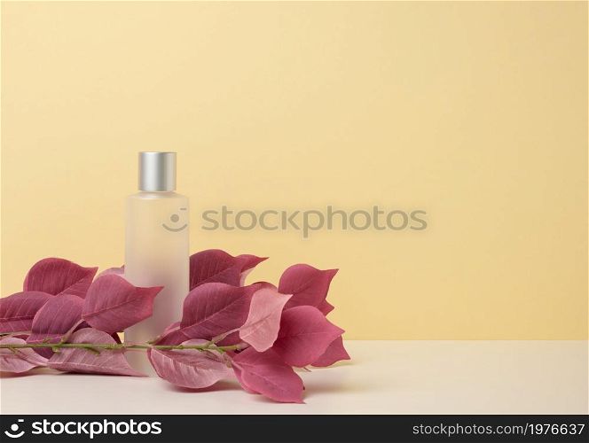 transparent plastic bottle on white table, branch with red leaves. Cosmetic products, brand promotion and advertising