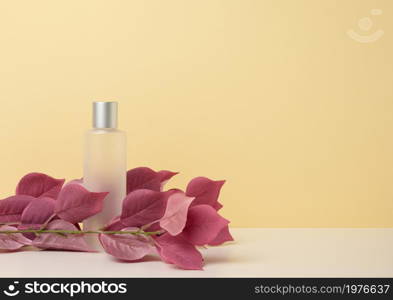 transparent plastic bottle on white table, branch with red leaves. Cosmetic products, brand promotion and advertising