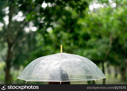 Transparent umbrella under rain, concept for bad weather, winter or protection