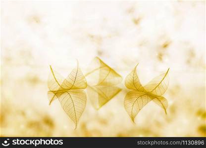 Transparent white leaves are on mirror surface with reflection on mauve background, abstract macro autumn dreamy artistic image. Fairytale wallpaper