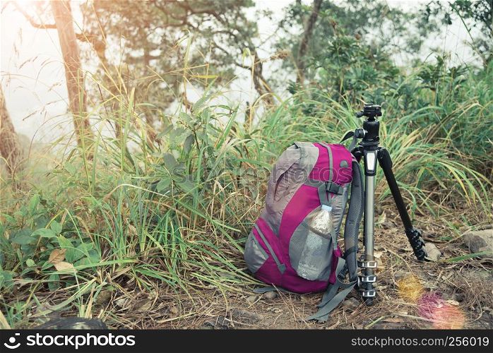 Travel and adventure concept. Traveller bag with tripod on forrest with sunlight. Picture for add text message. Backdrop for design art work.