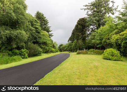 travel and countryside concept - asphalt road at connemara in ireland. asphalt road at connemara in ireland